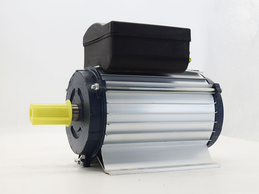 双值电容单相异步电动机